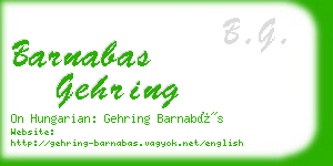 barnabas gehring business card